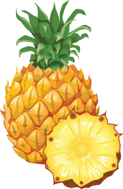 Pineapple Fruit Transparent PNG Images Free Download