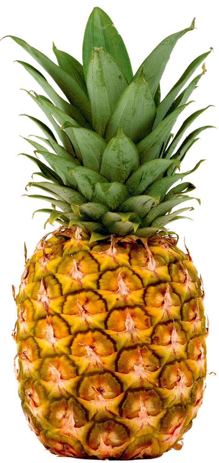 pineapple, pineapples fresh imports #18364