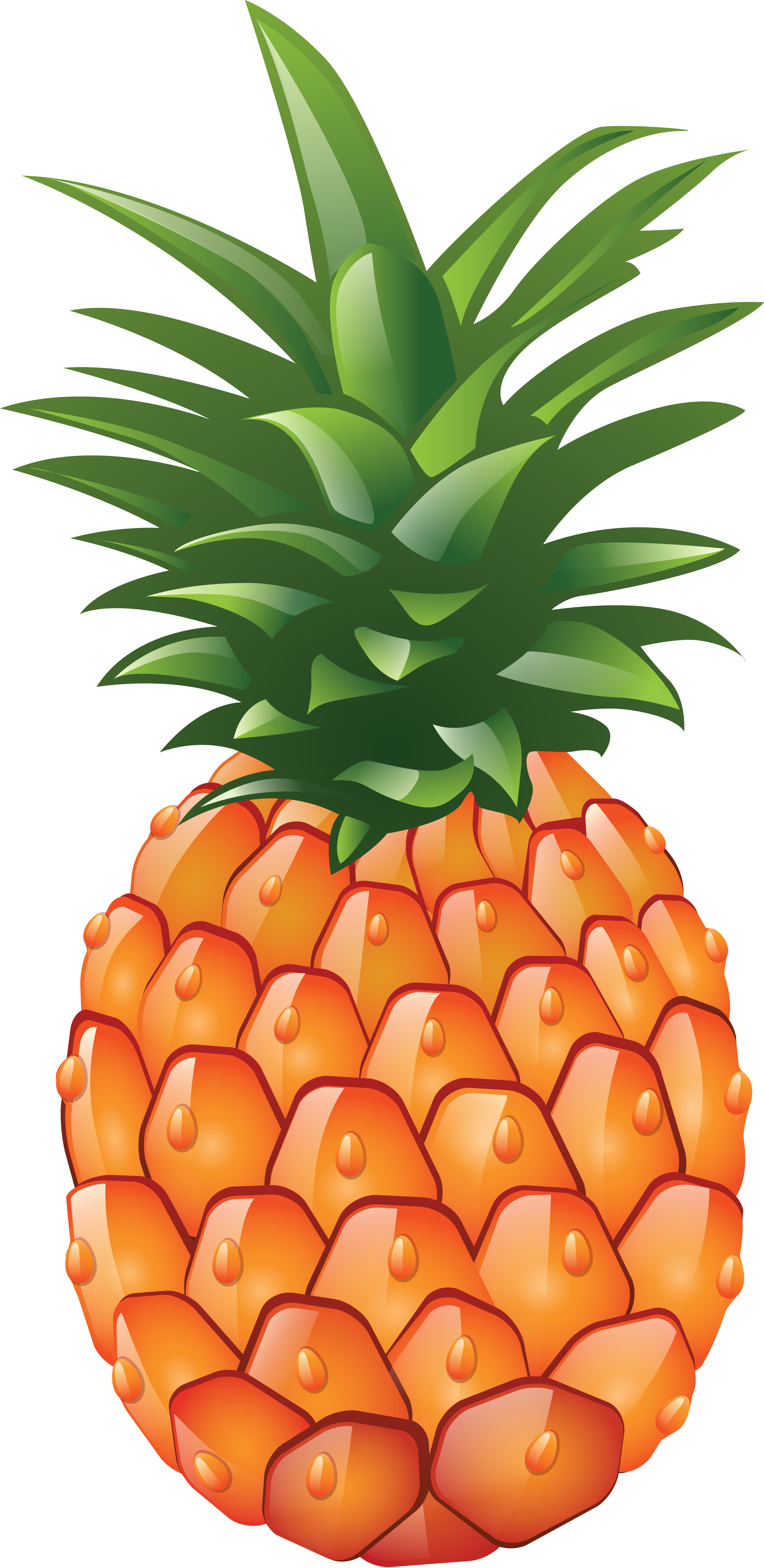 pineapple png image download cliparts #18437