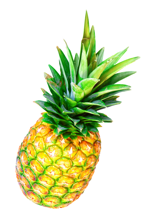 pineapple png image pngpix #18367