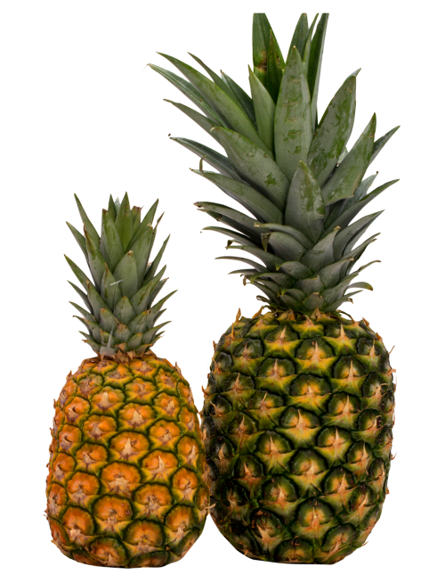 pineapple png image pngpix #18374