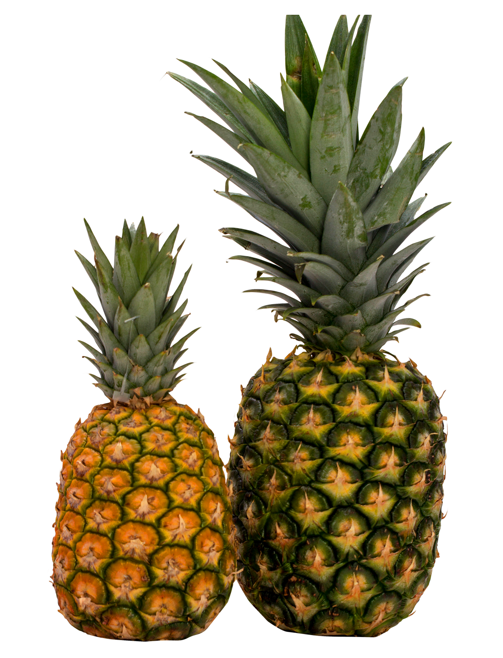 pineapple png image pngpix #18385