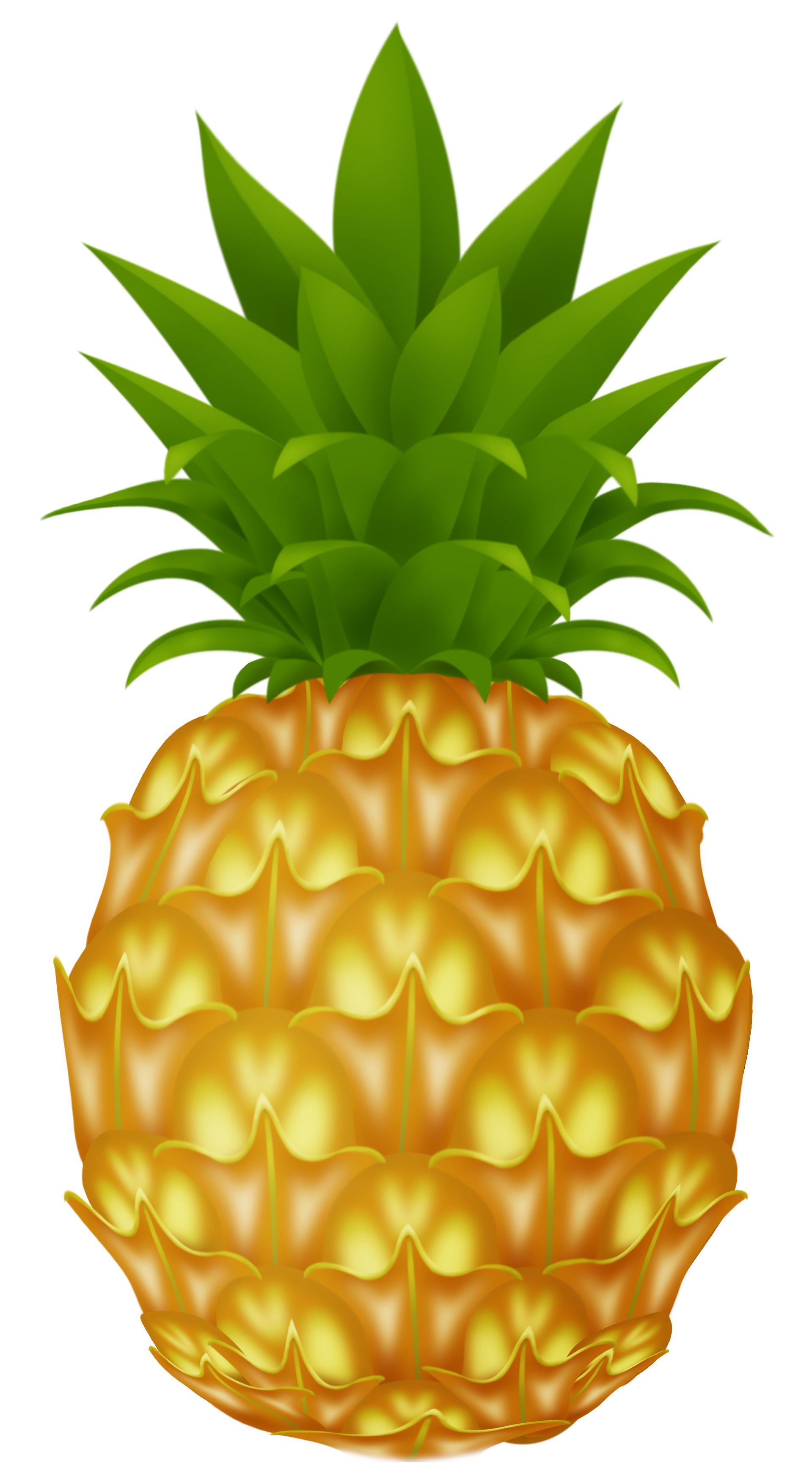 pineapple png picture clipart best clipart best #18435