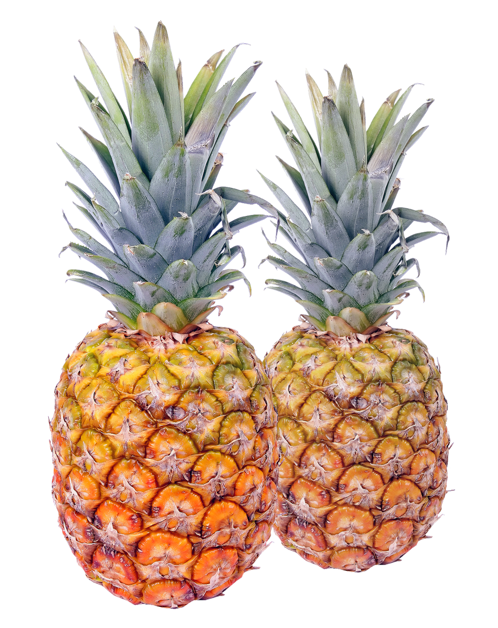 pineapple png transparent image pngpix #18371