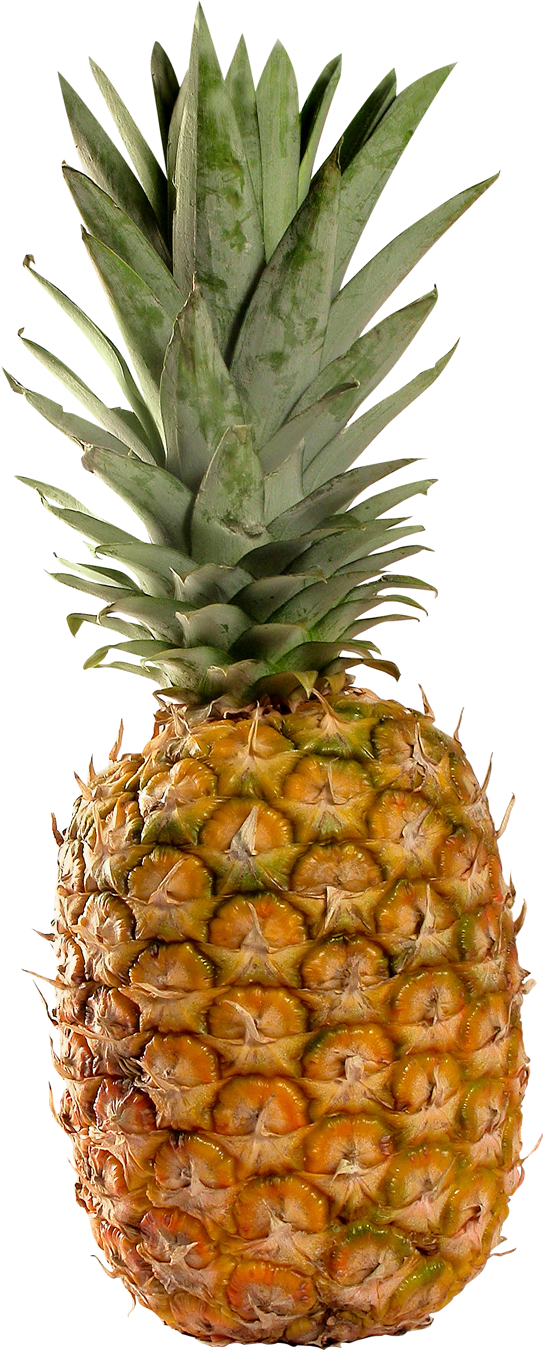 pineapple png transparent pineapple images #18425