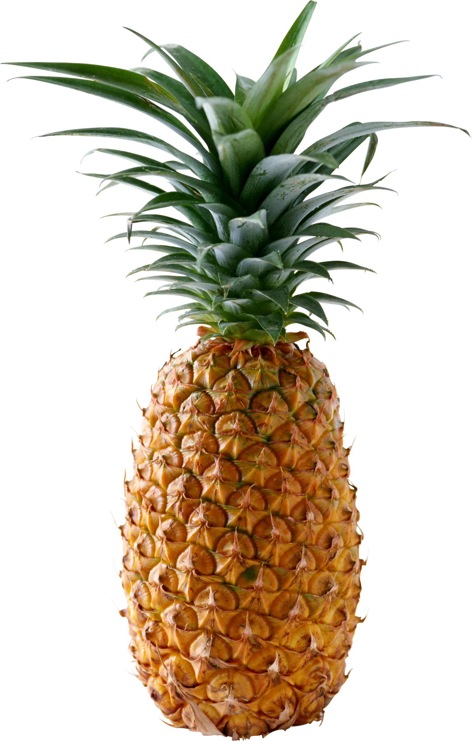 pineapple png transparent pineapple images #18467