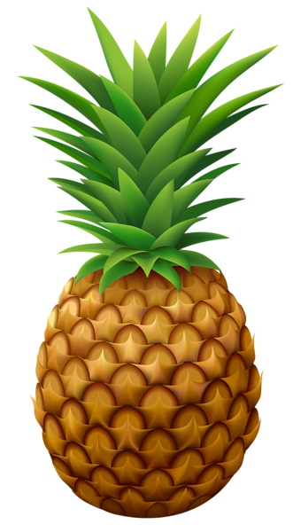 pineapple png vector clipart image gallery yopriceville #18410