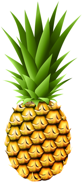 pineapple transparent png clip art image gallery #18426