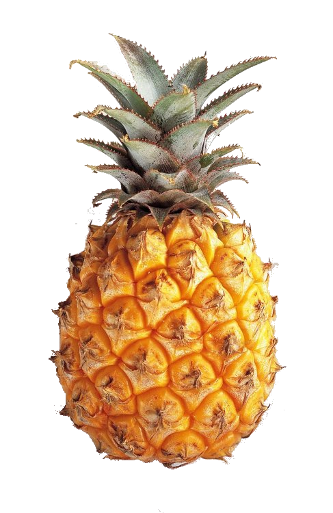 transparent pineapple tumblr #18447