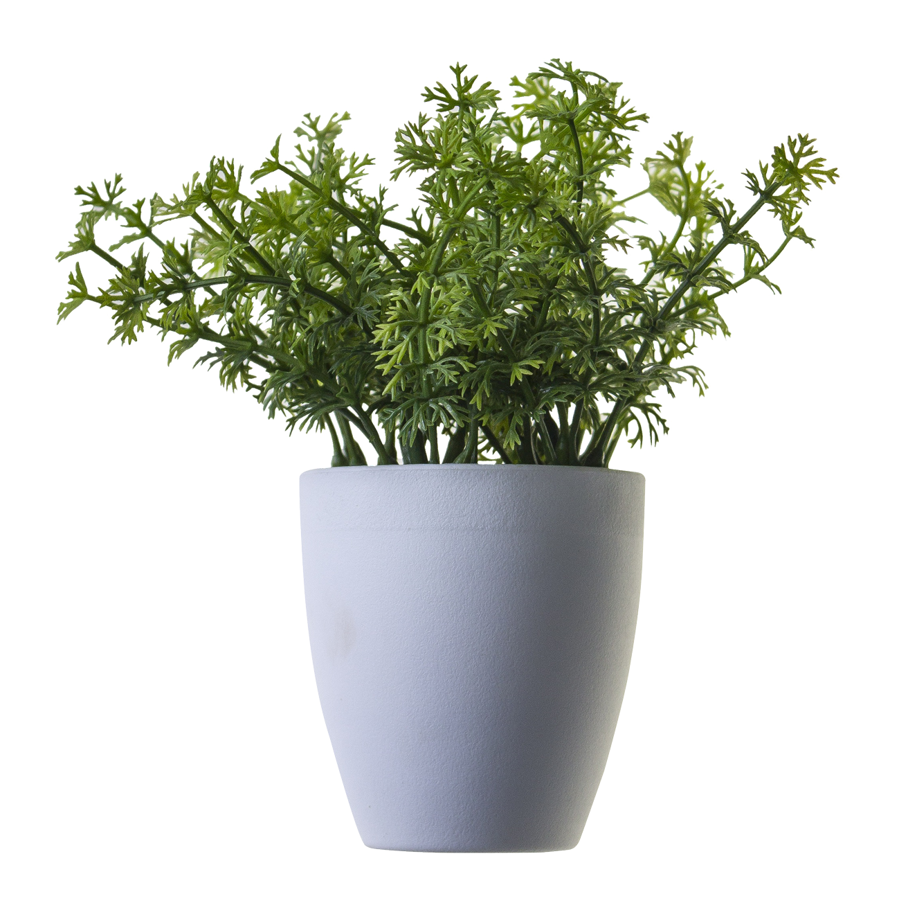 plant png image pngpix #9475