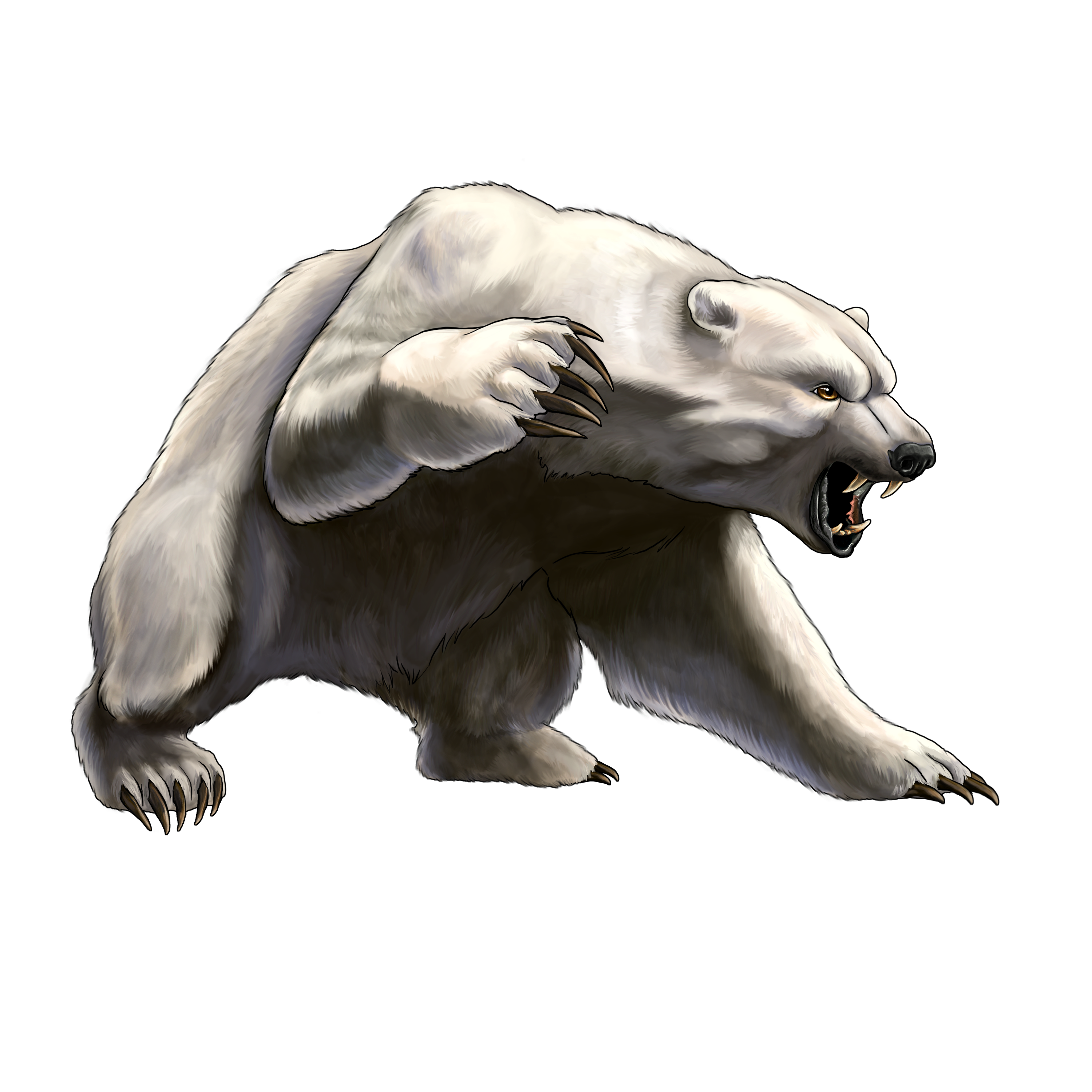 download polar bear png transparent images transparent backgrounds pngriver com sun bear #29807