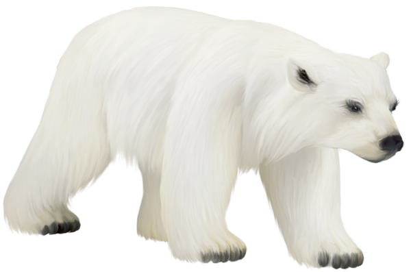 large painted png polar bear clipart gallery yopriceville high quality images and #29820