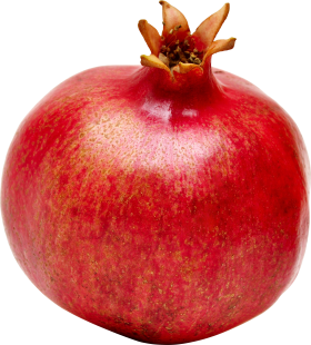 background pomegranate png transparent #24587