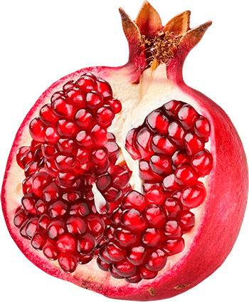 download pomegranate png image png image pngimg #24375