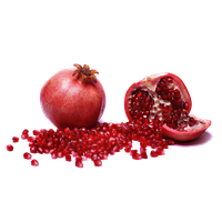 download pomegranate png photo images and clipart #24461