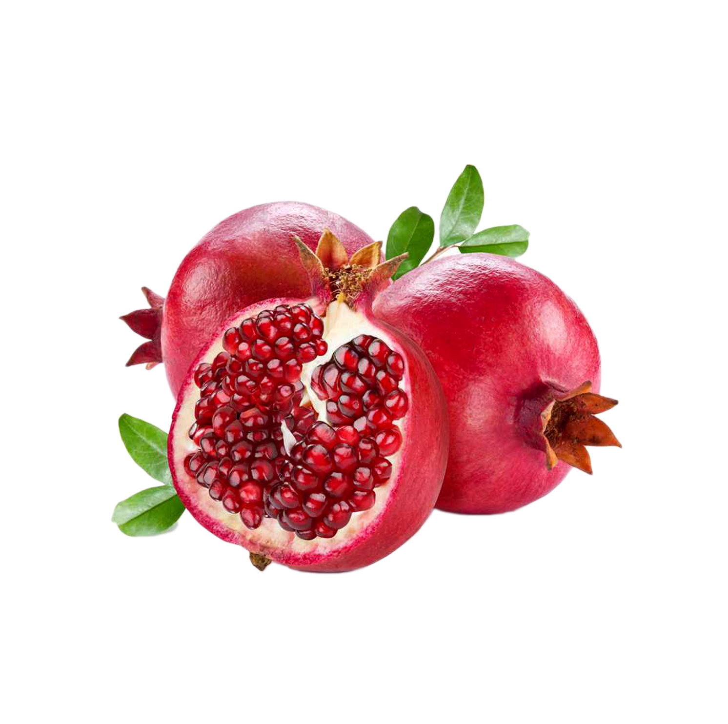 pomegranate #24409