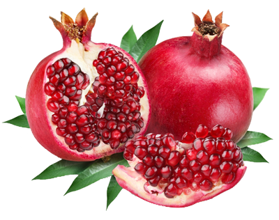 pomegranate, farm fresh sunmet #24442