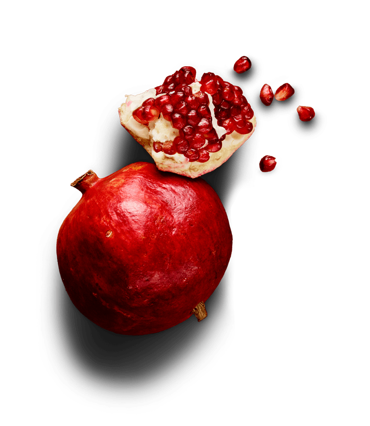 pomegranate, nutram #24451