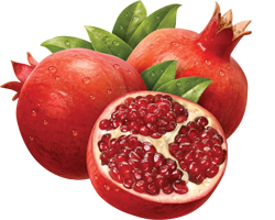 pomegranate, perfectgems home #24475