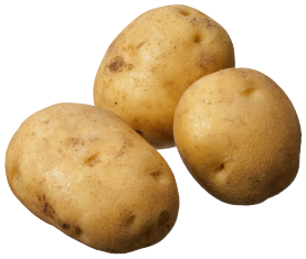 potato farm 18201