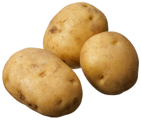 Potato