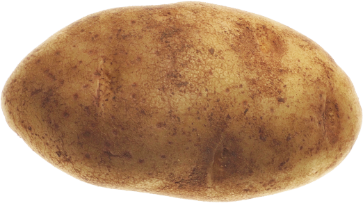 potato png transparent images png only #18133