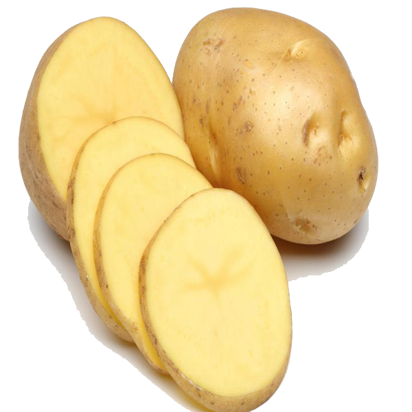 potato png transparent images png only #18104