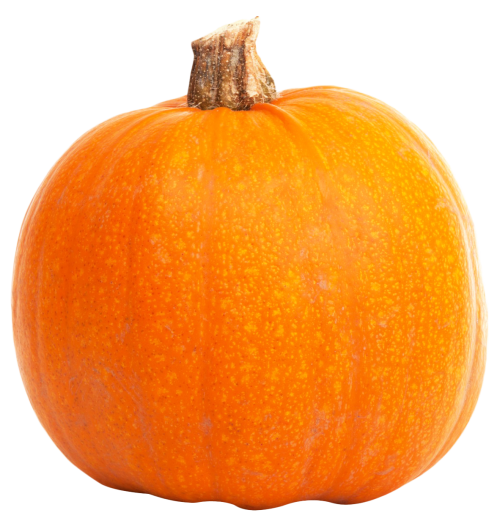 fresh orange pumpkin png image pngpix #17475