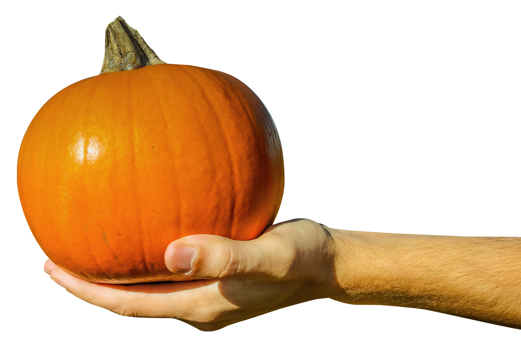 hand holding orange pumpkin png image png transparent #17501