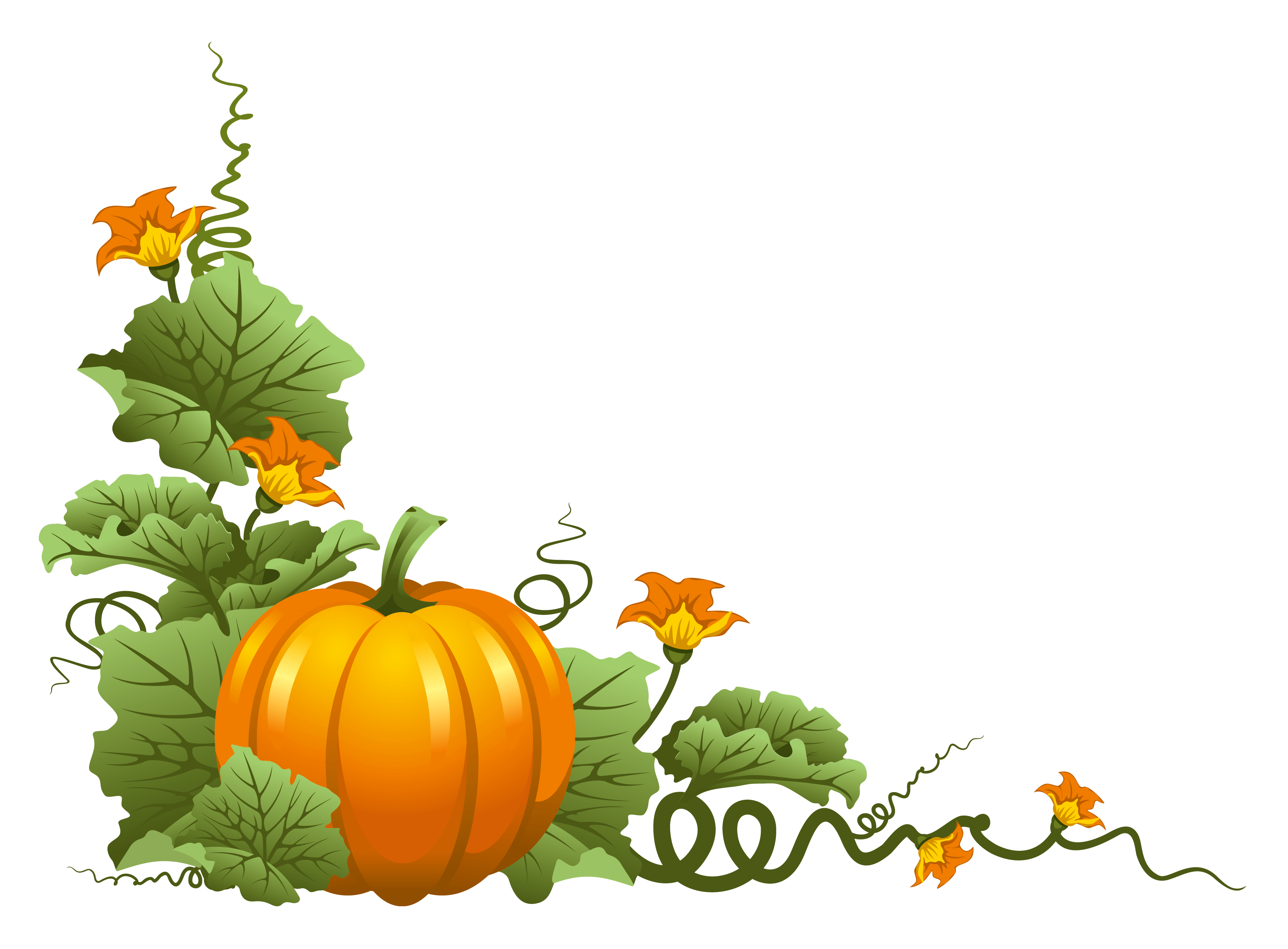 pin donna scheutzow fall pumpkins pumpkin #17485