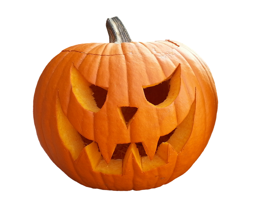 pumpkin fruit orange photo pixabay #17522