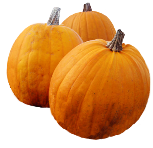 pumpkin, happy thanksgiving clipart #17491