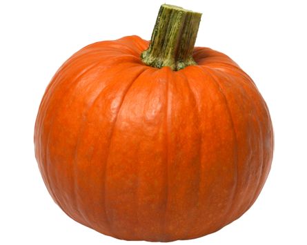 pumpkin kindersay #17509