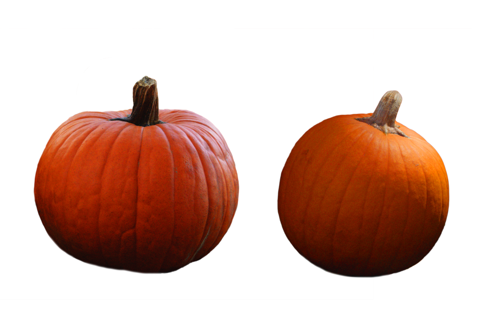 pumpkin png karahrobinson art deviantart #17495