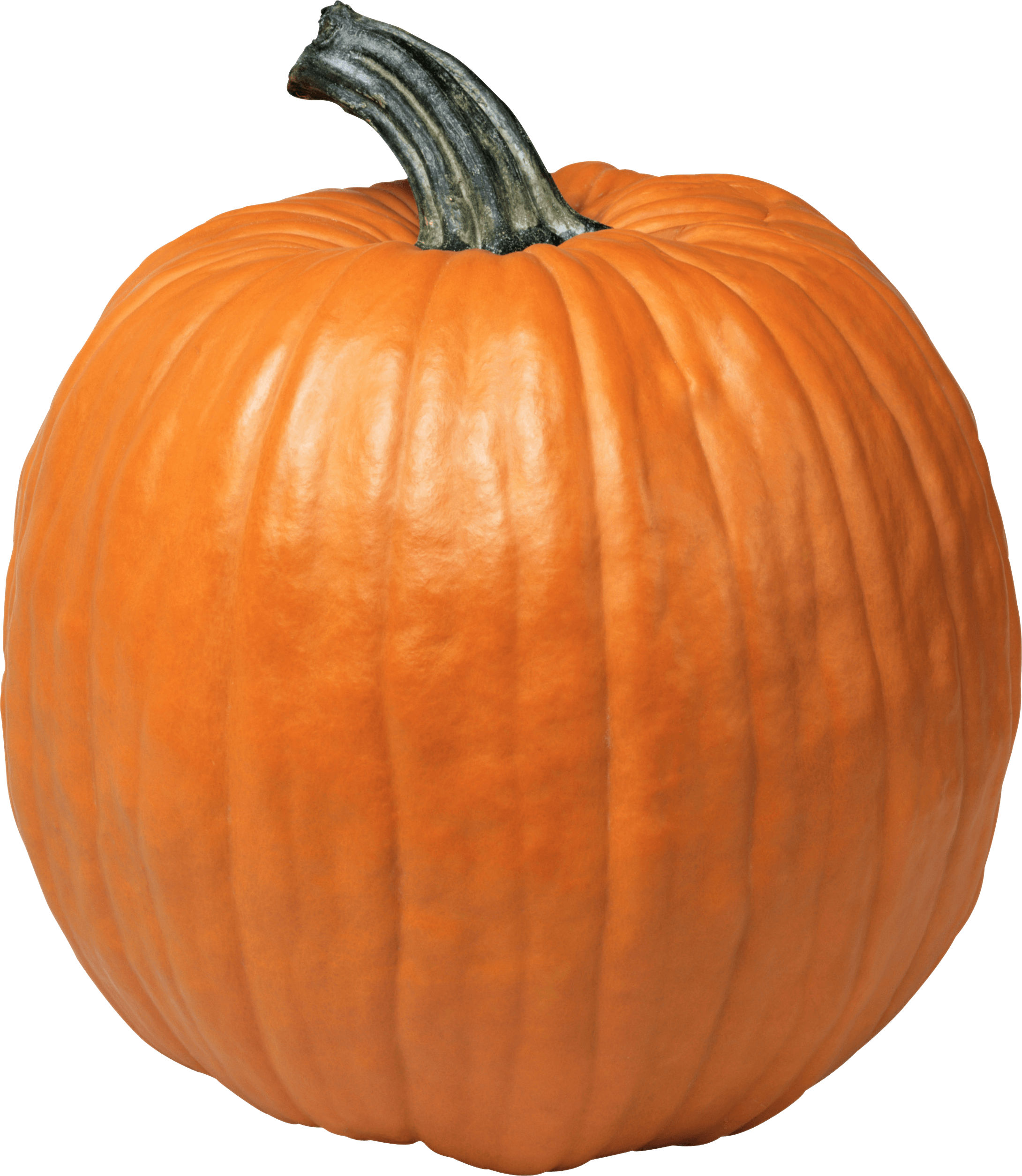single pumpkin transparent png stickpng #17481