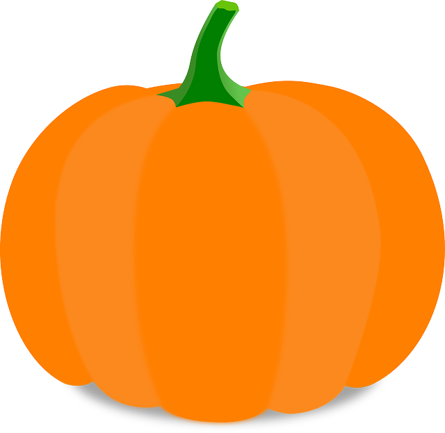 vector graphic pumpkin cartoon orange stem #17535