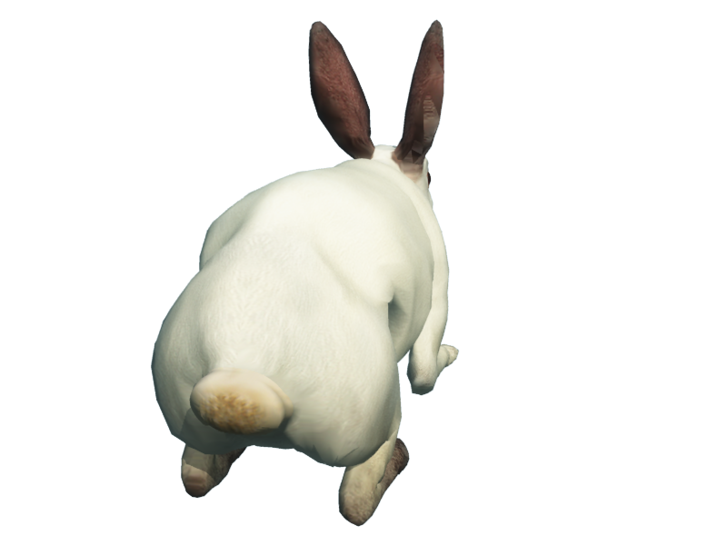 Rabbit PNG Clipart, Black, White And Brown Transparent Rabbits Images