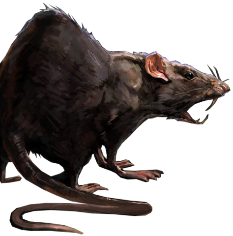 image rat concept dishonored wiki fandom powered #21586