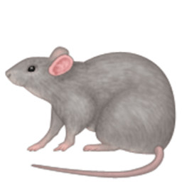 rat, list iphone animals nature emojis for use facebook #21551