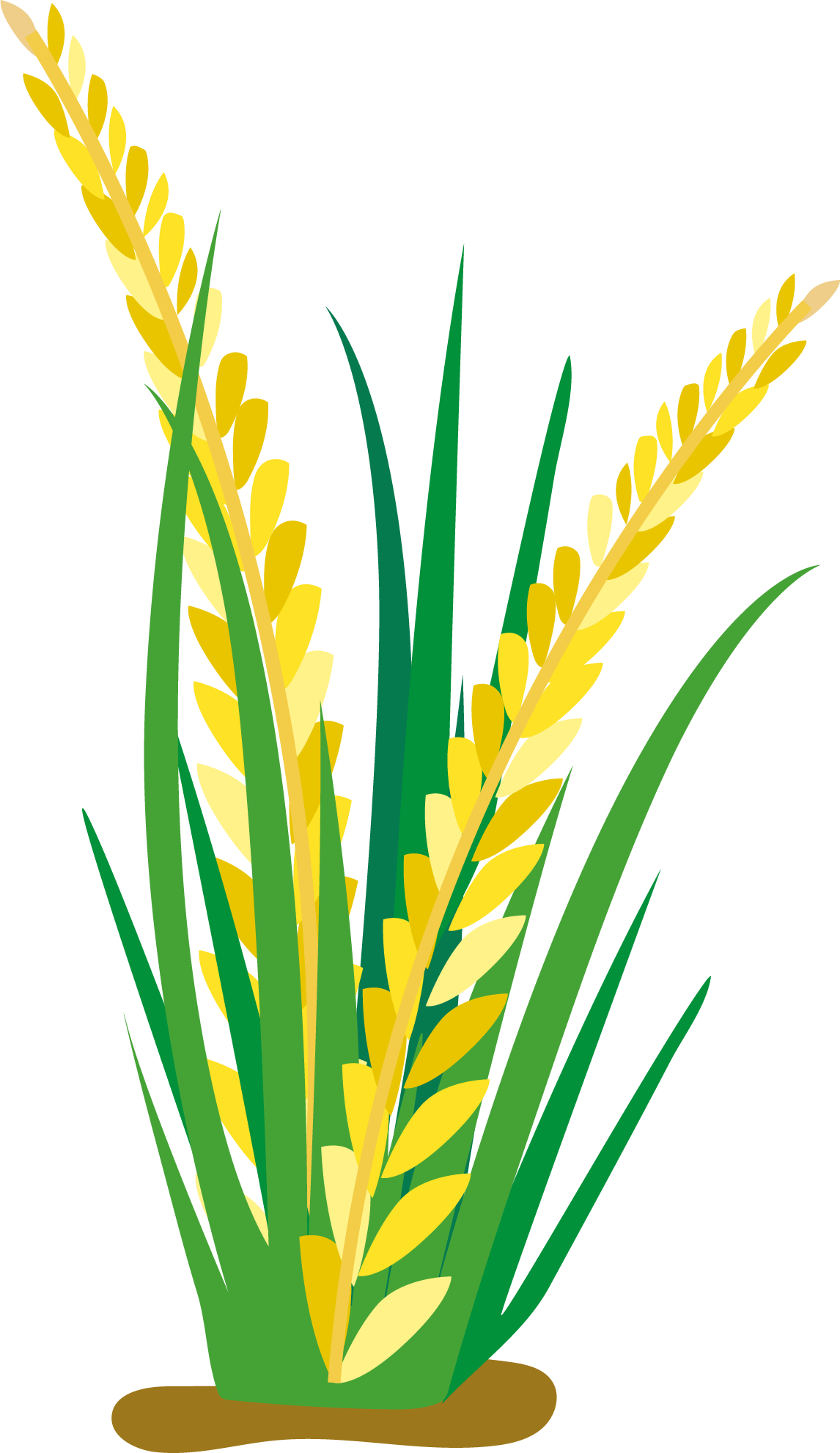 field clipart rice clip arts for download
