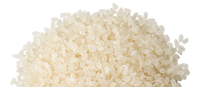 rice png images for download crazypngm crazy #22939