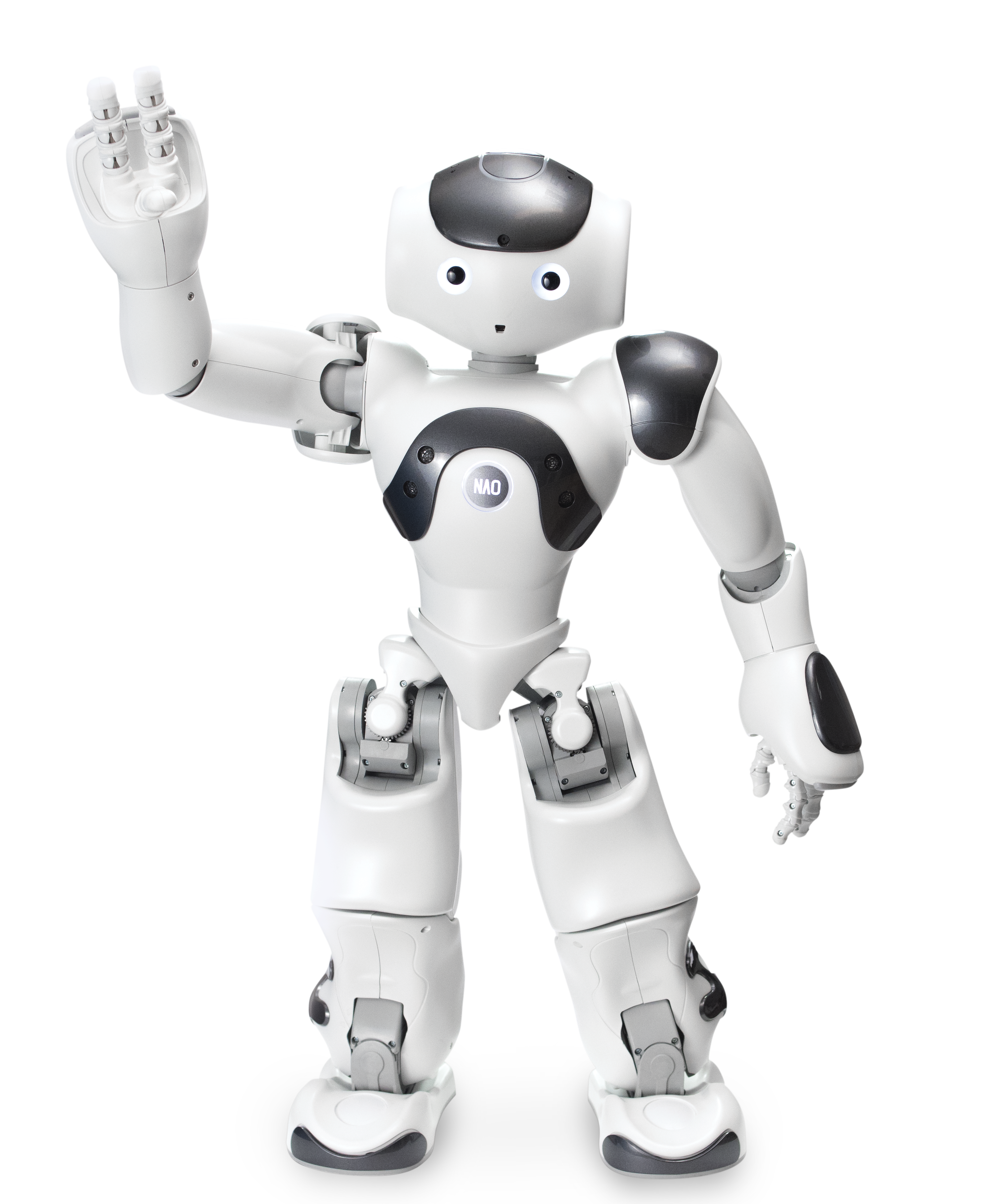 robot, nao power standard edition #18832