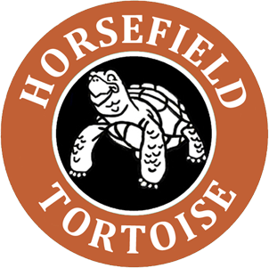horsefield tortoise, rodan and fields png logo #5659