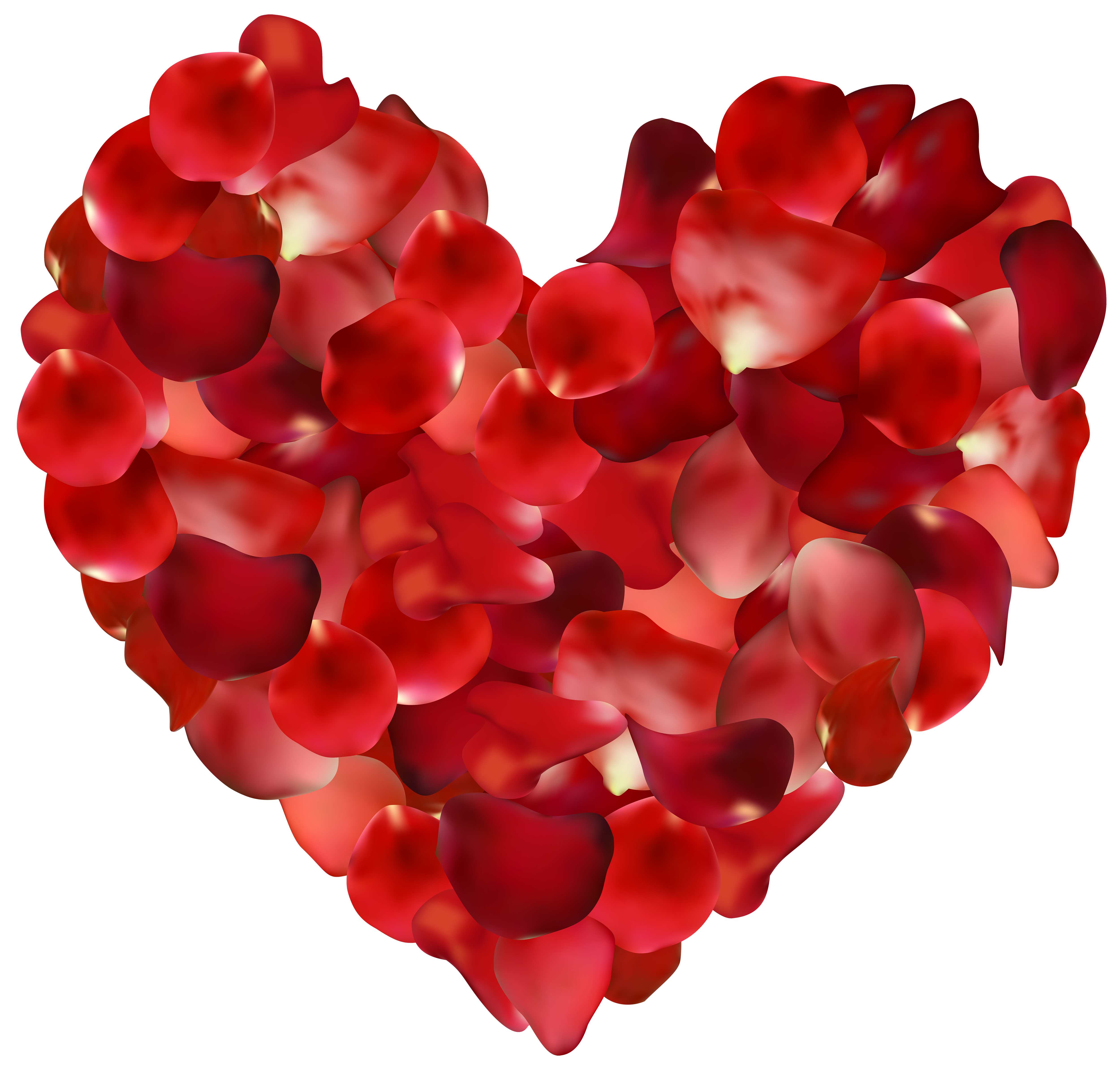 Rose Petals Transparent PNG, Rose Petals Falling, Pink And Red Flower