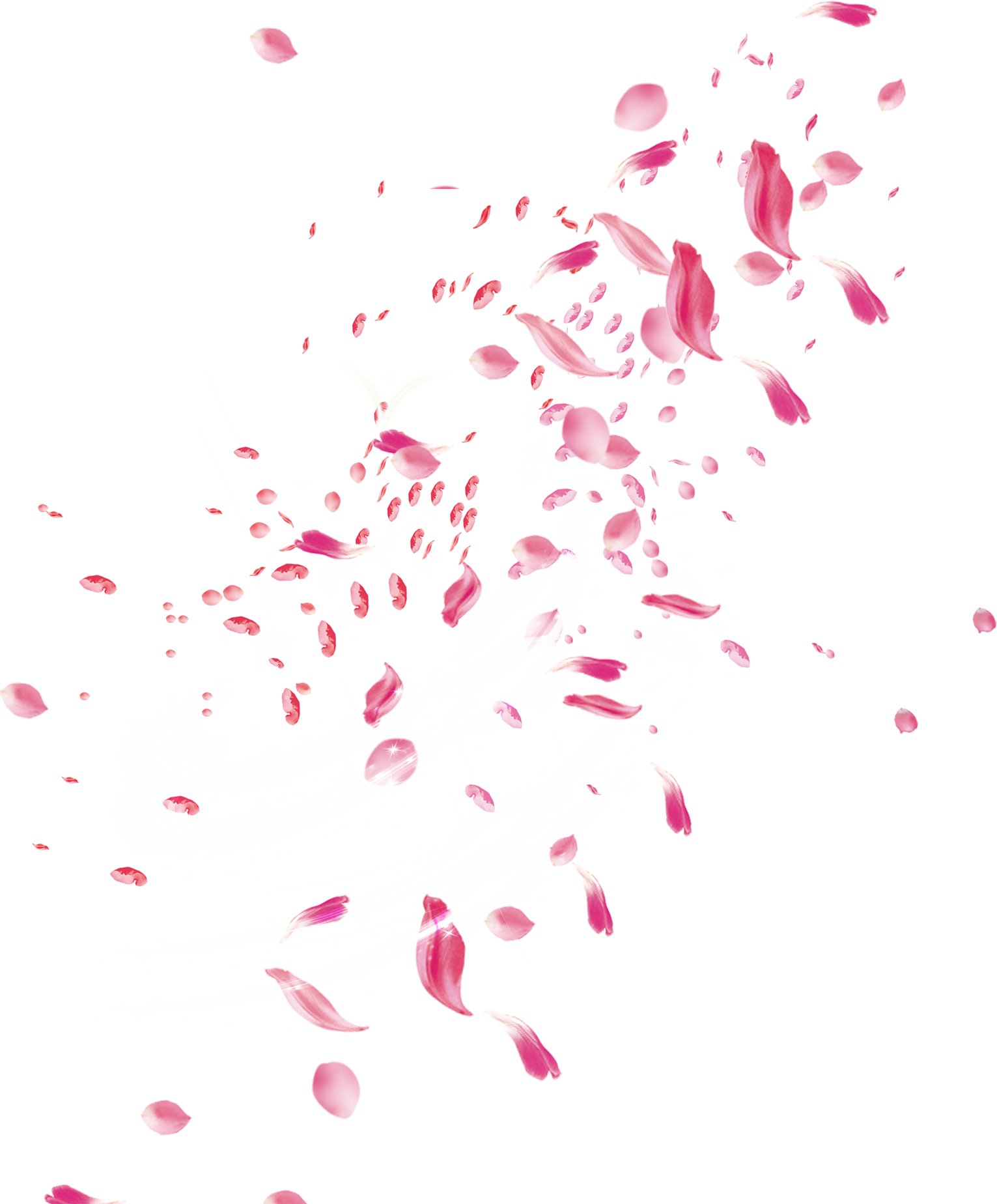 rose petals, pink rose petal falling png #30957