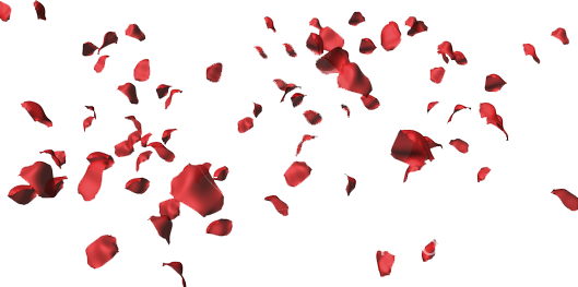 Rose Petal Set Red Transparent Clip Art​  Gallery Yopriceville -  High-Quality Free Images and Transparent PNG Clipart