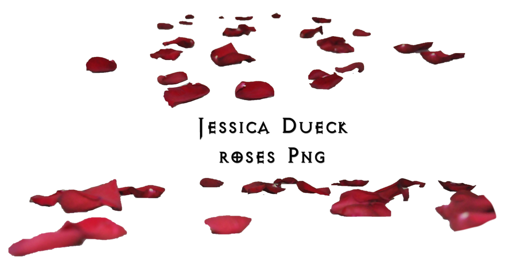 Rose Petals Transparent PNG, Rose Petals Falling, Pink And Red Flower