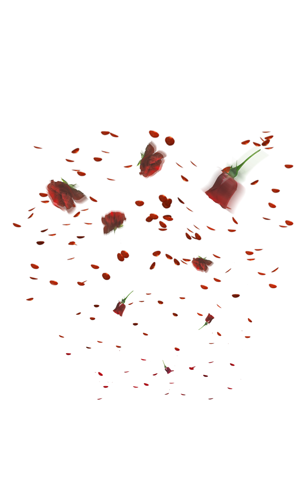 rose petals falling petals png images transparent download #33700