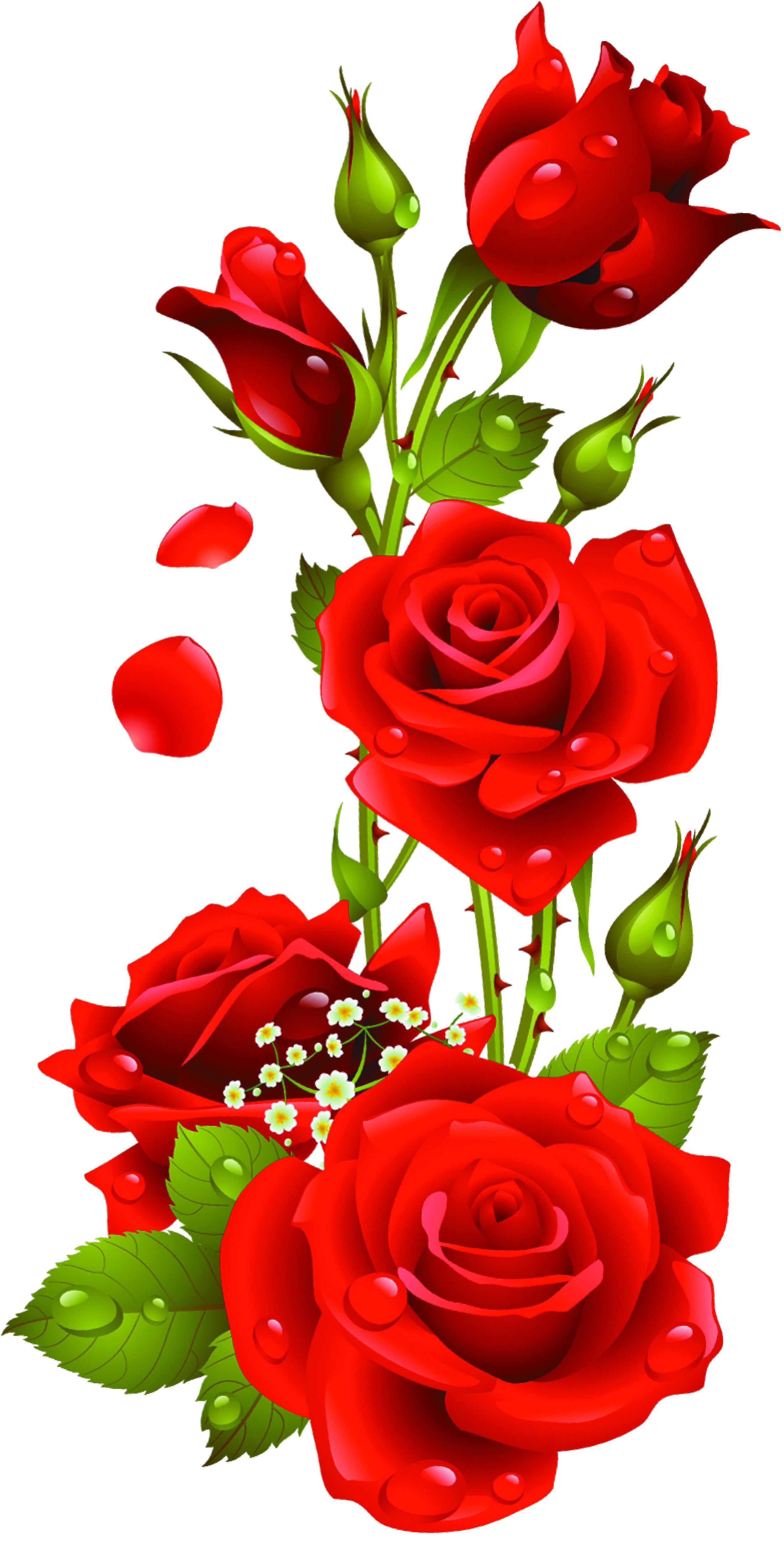 3 Red Roses free png clipart #40622