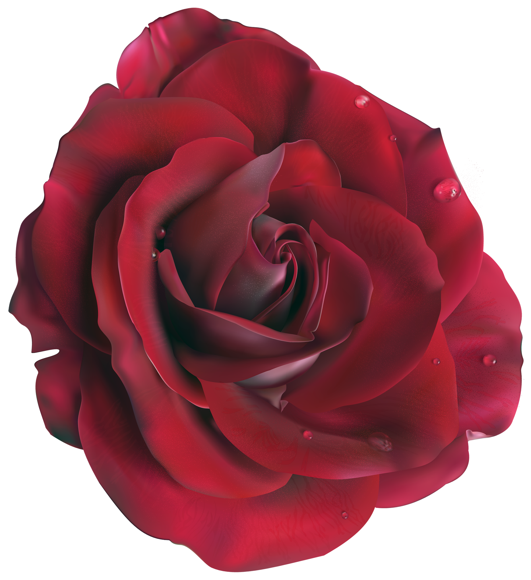 large dark red rose clipart transparent background #40656